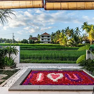 Putih Dcarik Ubud